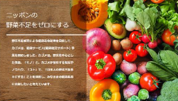 ニッポンの野菜不足ゼロ