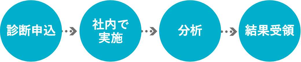 ウェブ診断概要